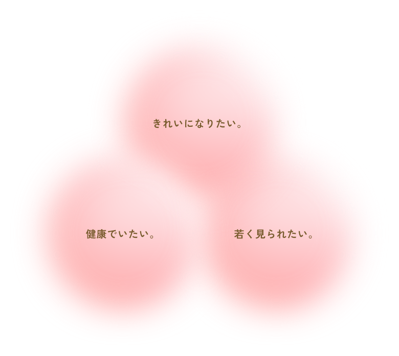 ミノーレについて