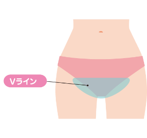 料金